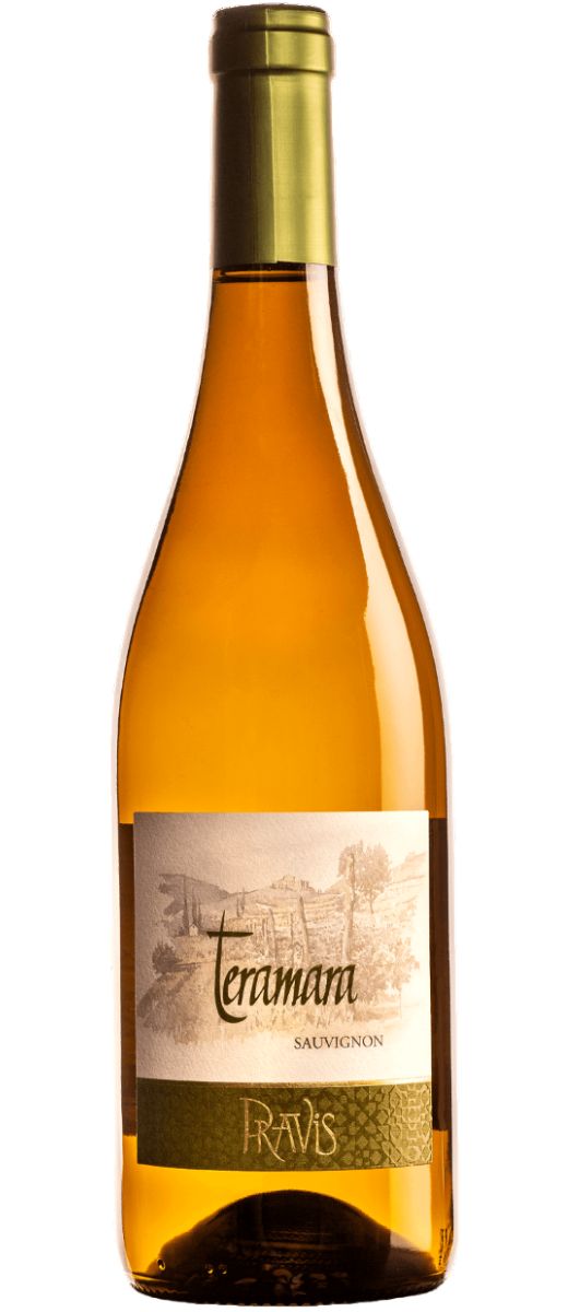 Sauvignon "Teramara" Vigneti delle Dolomiti IGT 2023 Pravis