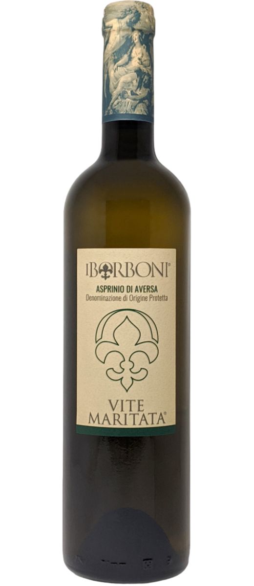 Asprinio D'Aversa DOP "Vite Maritata" 2022 I Borboni