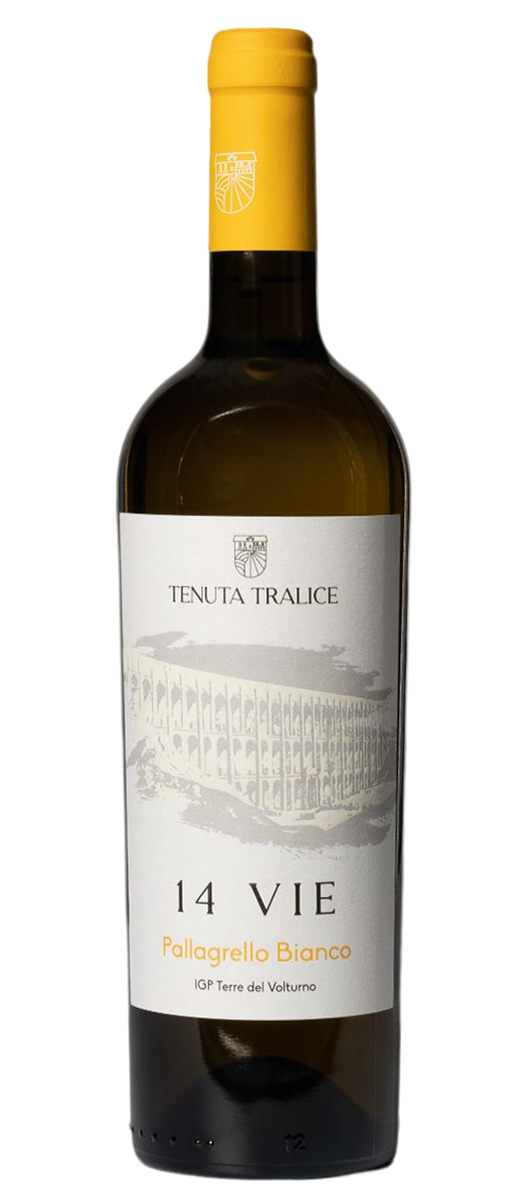 Terre Del Volturno IGP "14 Vie" Pallagrello Bianco 2023 Tenuta Tralice