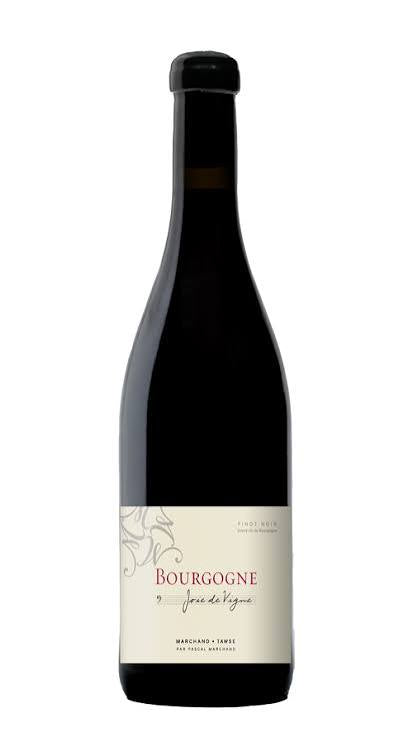 Bourgogne Pinot Noir 2022 Joie De Vigne Marchand Tawse