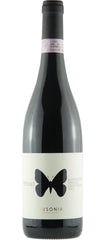"Apollo" Montepulciano d'Abruzzo DOP 2019 Ausonia